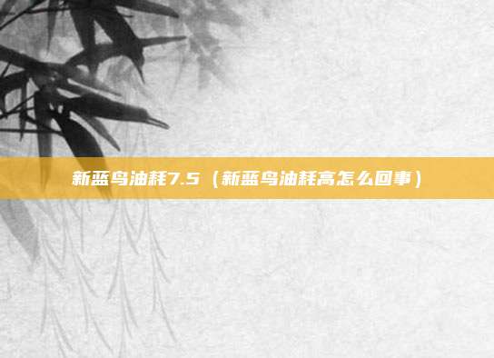 新蓝鸟油耗7.5（新蓝鸟油耗高怎么回事）
