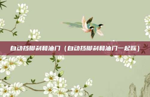 自动挡脚刹和油门（自动挡脚刹和油门一起踩）