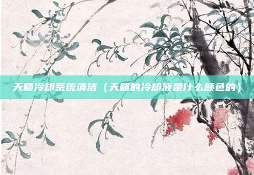 天籁冷却系统清洁（天籁的冷却液是什么颜色的）