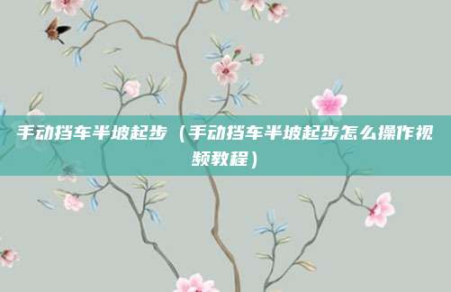 手动挡车半坡起步（手动挡车半坡起步怎么操作视频教程）