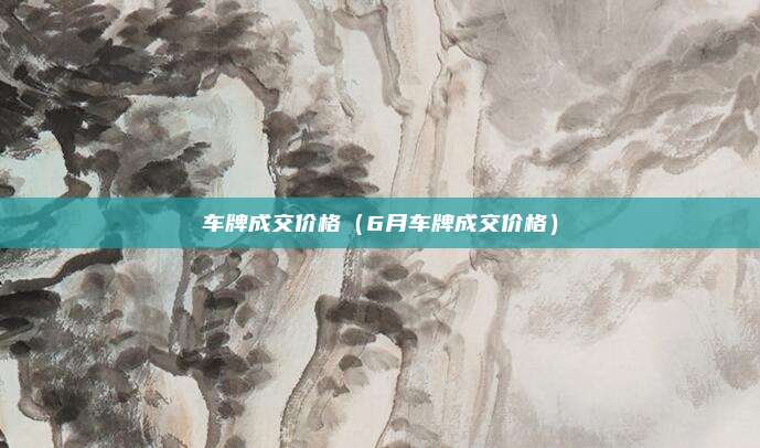 车牌成交价格（6月车牌成交价格）