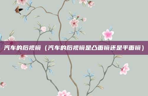 汽车的后视镜（汽车的后视镜是凸面镜还是平面镜）