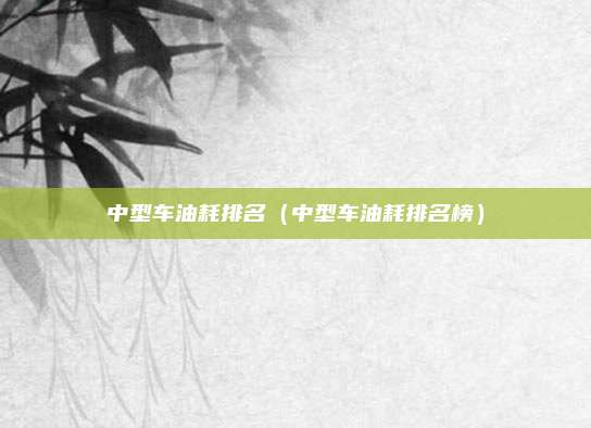中型车油耗排名(中型车油耗排名榜)