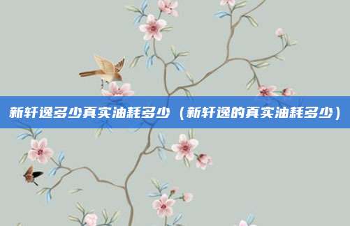 新轩逸多少真实油耗多少(新轩逸的真实油耗多少)