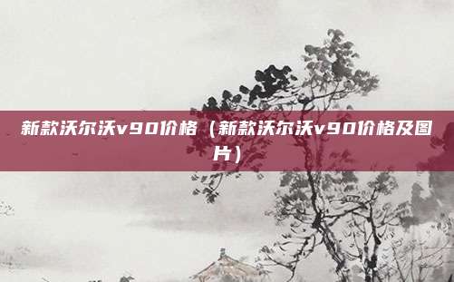 新款沃尔沃v90价格(新款沃尔沃v90价格及图片)