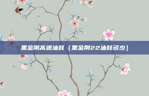 黑金刚高速油耗(黑金刚22油耗多少)