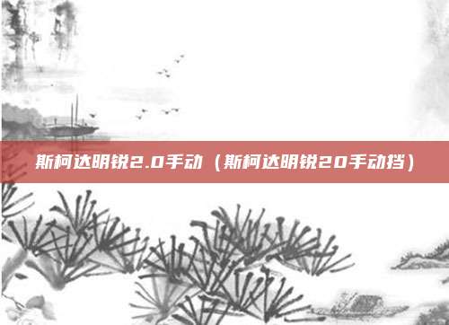 斯柯达明锐2.0手动（斯柯达明锐20手动挡）