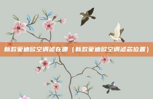 新款蒙迪欧空调滤在哪（新款蒙迪欧空调滤芯位置）