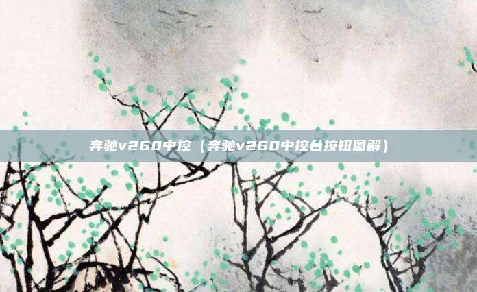 奔驰v260中控（奔驰v260中控台按钮图解）