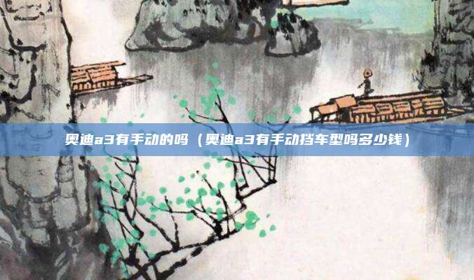 奥迪a3有手动的吗（奥迪a3有手动挡车型吗多少钱）