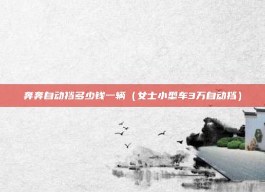 奔奔自动挡多少钱一辆（女士小型车3万自动挡）