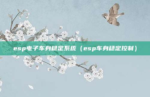 esp电子车身稳定系统（esp车身稳定控制）
