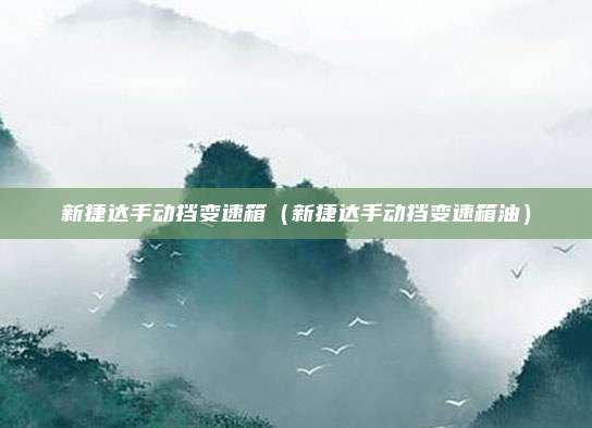 新捷达手动挡变速箱（新捷达手动挡变速箱油）