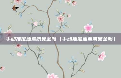 手动挡定速巡航安全吗（手动挡定速巡航安全吗）