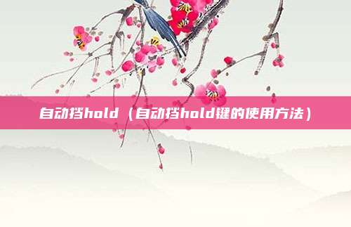 自动挡hold（自动挡hold键的使用方法）