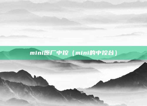 mini原厂中控（mini的中控台）