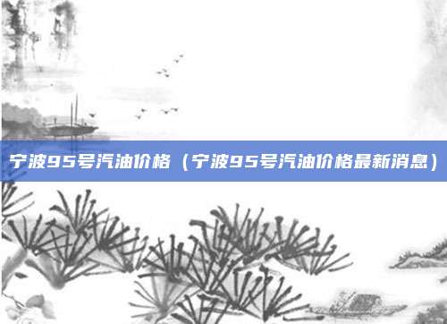 宁波95号汽油价格（宁波95号汽油价格最新消息）