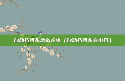 自动挡汽车怎么充电（自动挡汽车充电口）