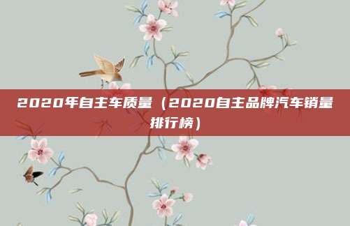 2020年自主车质量(2020自主品牌汽车销量排行榜)