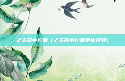 老天籁中控屏(老天籁中控屏更换视频)