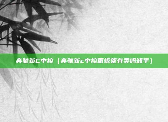 奔驰新C中控（奔驰新c中控面板架有卖吗知乎）