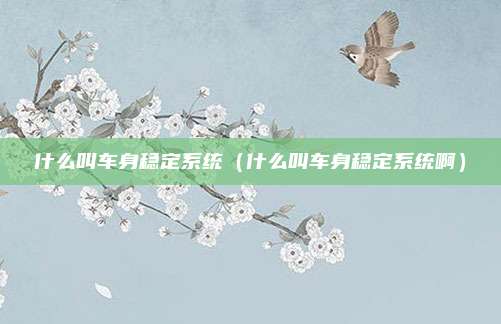 什么叫车身稳定系统（什么叫车身稳定系统啊）