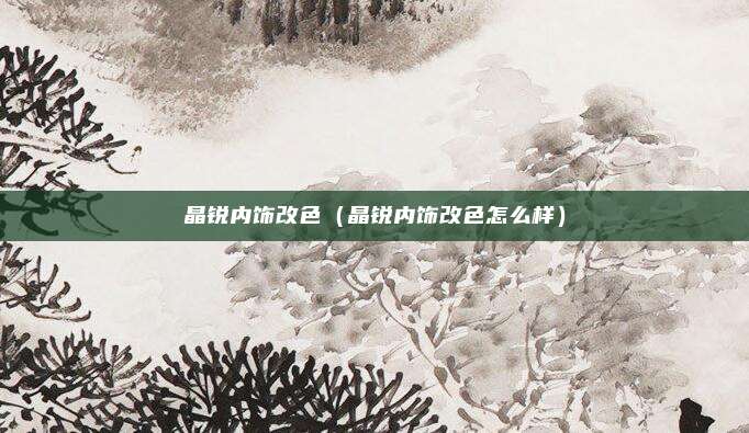 晶锐内饰改色（晶锐内饰改色怎么样）