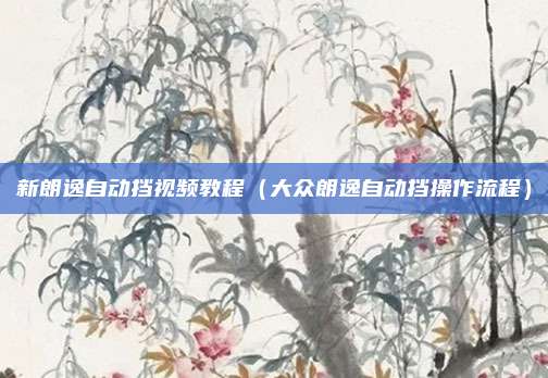 新朗逸自动挡视频教程（大众朗逸自动挡操作流程）