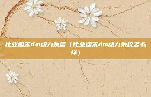 比亚迪宋dm动力系统(比亚迪宋dm动力系统怎么样)