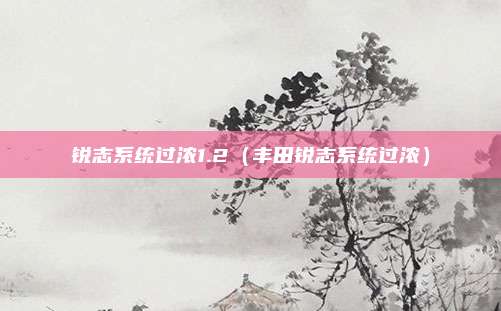 锐志系统过浓1.2(丰田锐志系统过浓)
