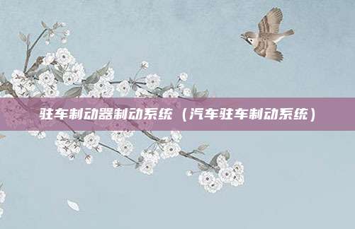 驻车制动器制动系统（汽车驻车制动系统）