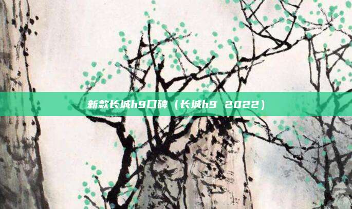 新款长城h9口碑（长城h9 2022）