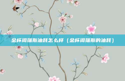 金杯阁瑞斯油耗怎么样（金杯阁瑞斯的油耗）
