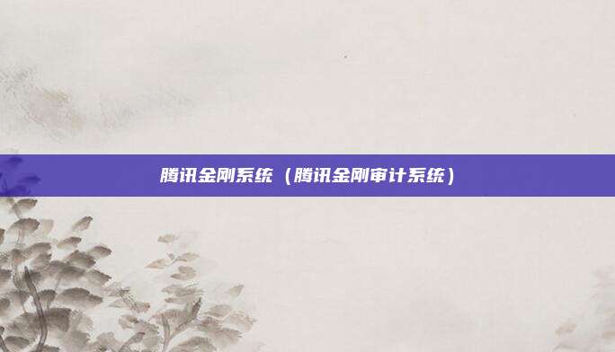 腾讯金刚系统（腾讯金刚审计系统）