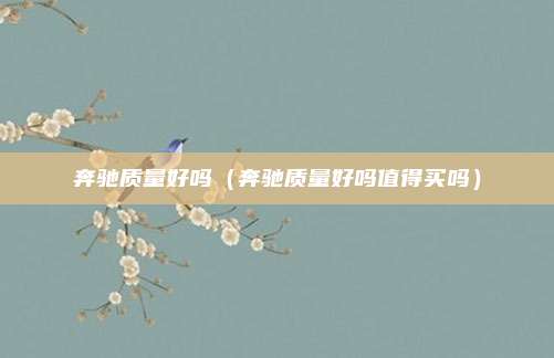 奔驰质量好吗（奔驰质量好吗值得买吗）