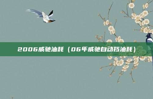 2006威驰油耗（06年威驰自动挡油耗）
