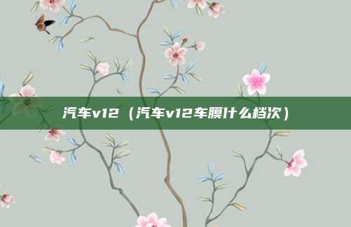 汽车v12（汽车v12车膜什么档次）