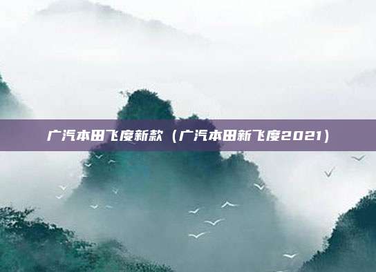 广汽本田飞度新款（广汽本田新飞度2021）