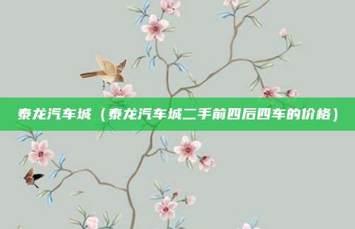 泰龙汽车城（泰龙汽车城二手前四后四车的价格）