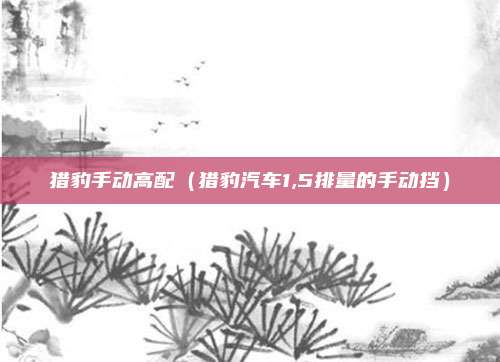 猎豹手动高配（猎豹汽车1,5排量的手动挡）