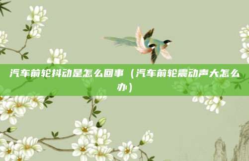 汽车前轮抖动是怎么回事（汽车前轮震动声大怎么办）