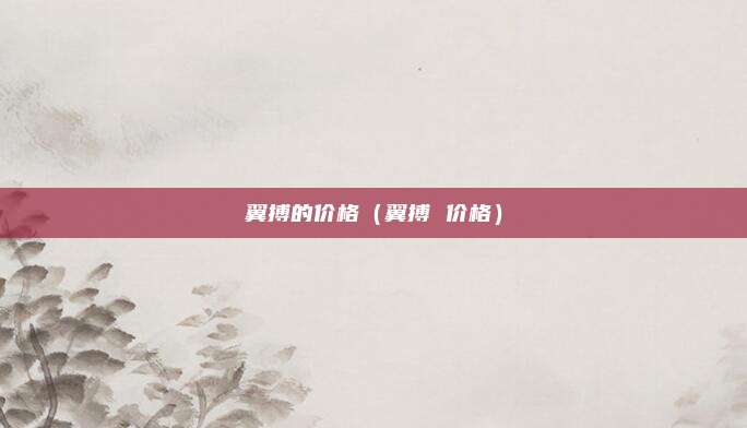 翼搏的价格（翼搏 价格）