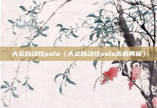 大众自动挡polo（大众自动挡polo价格两厢）