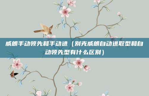 威朗手动领先和手动进（别克威朗自动进取型和自动领先型有什么区别）