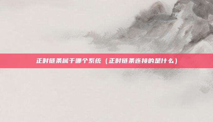 正时链条属于哪个系统（正时链条连接的是什么）