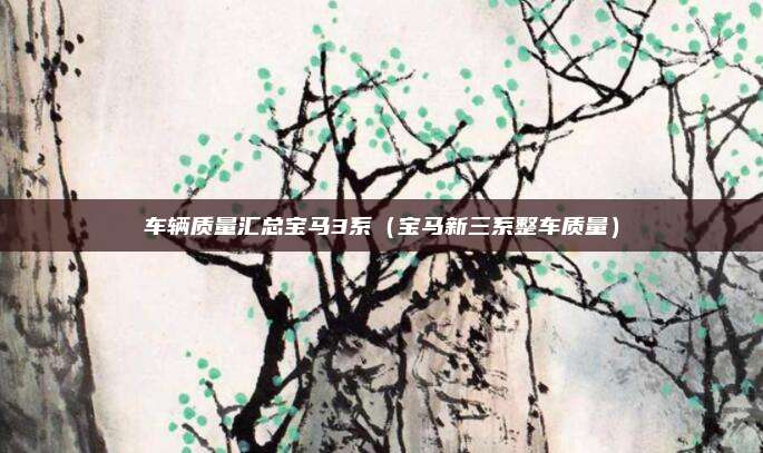 车辆质量汇总宝马3系（宝马新三系整车质量）