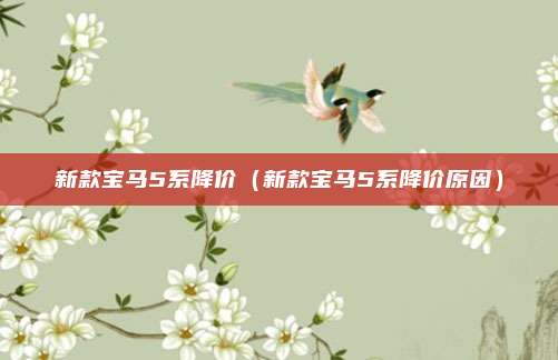新款宝马5系降价（新款宝马5系降价原因）