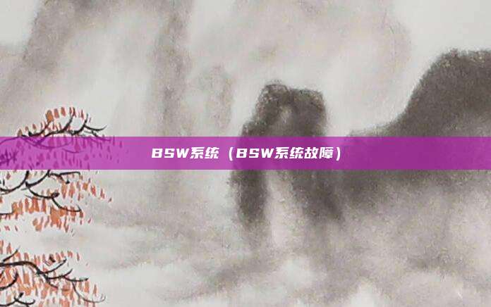 BSW系统（BSW系统故障）