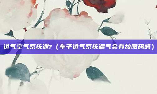 进气空气系统泄?（车子进气系统漏气会有故障码吗）