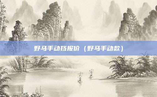 野马手动挡报价（野马手动款）